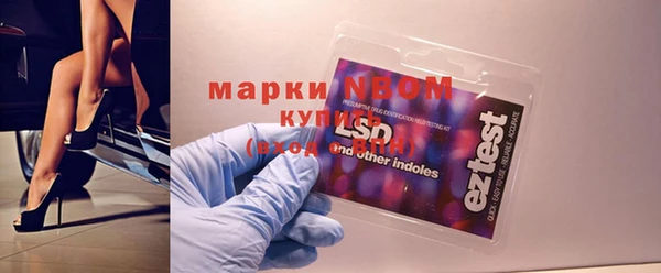 индика Алзамай