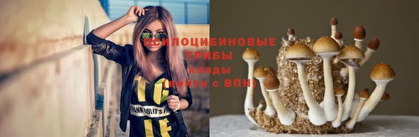 индика Алзамай