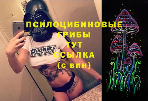 стафф Алексин