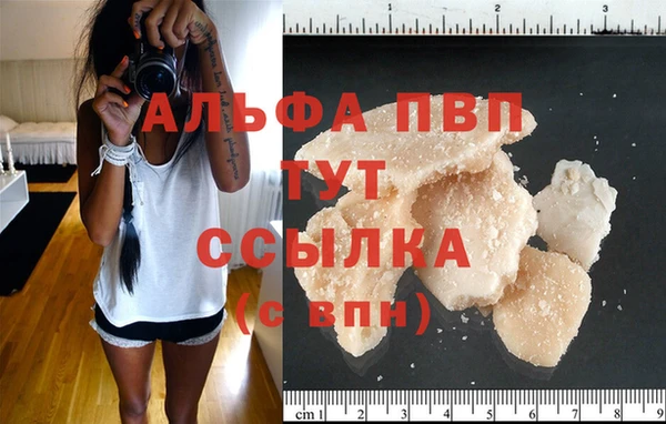стафф Алексин