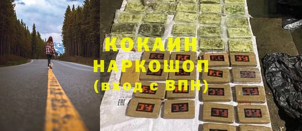 индика Алзамай